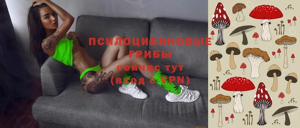 apvp Майский