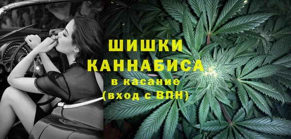 амф Магас