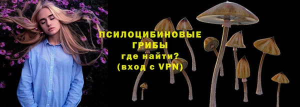 apvp Майский