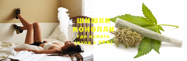 тгк Лиски